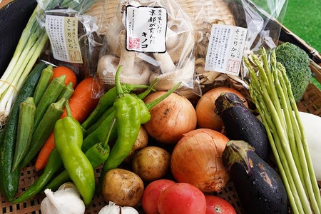 お野菜セット アビトルベジタブル+しいたけ+お米2kg 合計8～10品目詰め合わせセット 季節の野菜 旬の野菜 やさい 新鮮 産地直送 米 きのこ キノコ お米 産直 国産 京都 京都産 ※北海道・沖