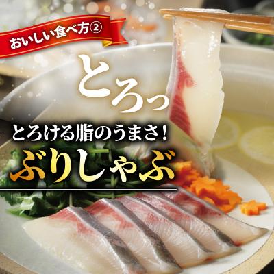 ふるさと納税 愛南町 ぶりスライス 冷凍 合計 500g ( 250g × 2皿 ) 超冷燻 鰤 しゃぶしゃぶ 鍋 刺身 |  | 02