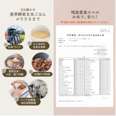 ふるさと納税 九重町 【常温】3日寝かせ発芽酵素 玄米ごはん60食セット |  | 01