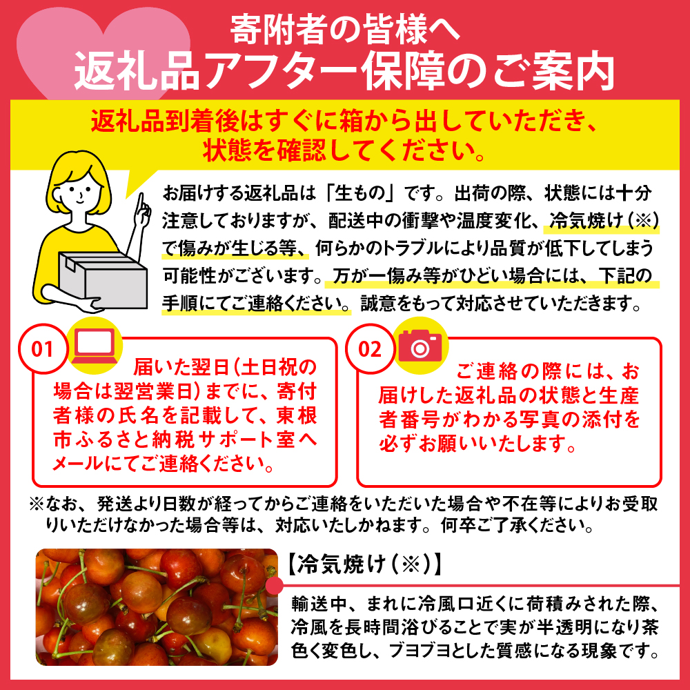 2025年GI東根さくらんぼ 紅秀峰 500gバラ詰め(2L) 東根農産センター提供　hi027-176-1