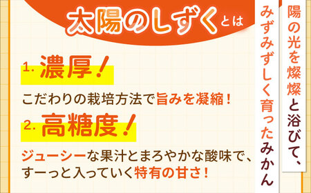＜先行予約＞【11月?12月発送】タッチの甘熟 早生みかん 太陽のしずく 5kg【夢の甘熟みかん タッチ】[HCE001]フルーツ 佐賀みかん 温州みかん みかん 早生みかん 年内発送