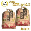 【ふるさと納税】令和6年産 魚沼産 コシヒカリ 3kg×2袋【クラフト袋入り】（JA魚沼）白米 魚沼 米 コメ お米 おコメ おこめ ブランド米 こしひかり お取り寄せ 産地直送 おいしい おにぎり ごはん 白飯 人気 おすすめ 新潟 小千谷 JA18P421