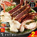 【ふるさと納税】 生タラバガニ 2kg 一肩半前後 特大 6Lサイズ 昆布仕立て 化粧箱入り 贈答 ギフト タラバガニ 生 鮮度抜群 大型タラバ蟹 かに 旨み まろやか 焼きガニ カニ鍋 お取り寄せ お取り寄せグルメ 冷凍 関西 大阪府 泉佐野市 送料無料 【年内発送】