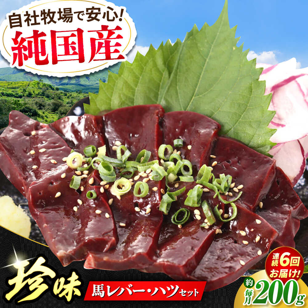 【ふるさと納税】【全6回定期便】『純国産』熊本の味 馬 珍味 セット 計約200g レバー ハツ 刺身馬肉 希少 熊本 生レバー 生ハツ 定期 定期便【有限会社 九州食肉産業】[AYCN105] 馬 うま 肉 九州 国産 熊本県 合志市