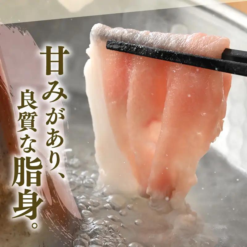 【ブランド豚】ふくいポーク ロース薄切 計600g 国産豚肉 冷凍 [e02-a026]