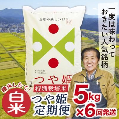 ふるさと納税 最上町 【発送月固定定期便】買い忘れなしで美味しいつや姫5kg白米)が届く全6回