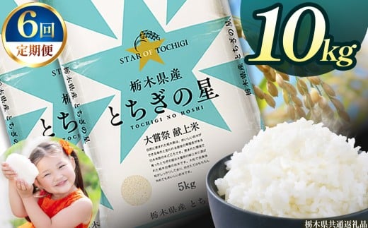 【定期便6回】栃木県産とちぎの星 10kg | 2025年 2025年米 令和7年米 秋 白米 ごはん ご飯 小分け 人気 おいしい 旨い おにぎり おむすび お弁当 限定 栃木県共通返礼品 栃木県 下野市 送料無料
