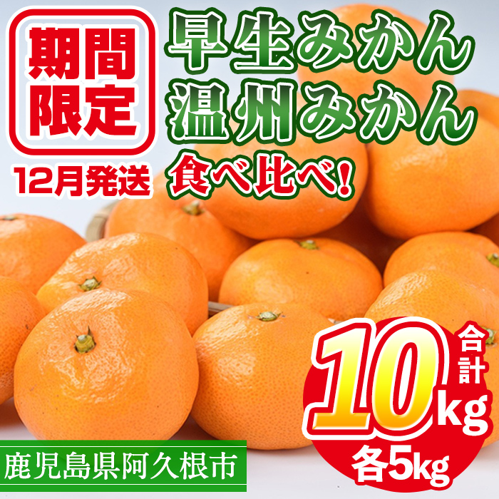 ＜2024年12月上旬以降順次発送予定＞数量限定！早生ミカン・温州ミカン食べ比べセット(合計10kg・各5kg) 国産 フルーツ 果物 柑橘【三笠農業生産】a-29-5