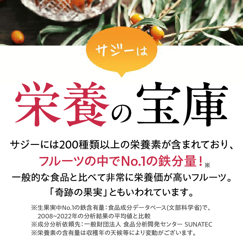 豊潤サジー 1000ml×2本セット サジージュース【紙パックタイプ】_M327-002