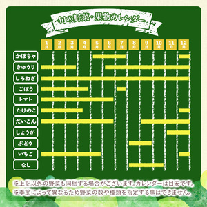 y361 《定期便・全３回》野菜と果物旬の詰め合わせ(12～14品目) 国産 九州産 鹿児島県産 野菜 やさい果物 くだもの フルーツ デザート 詰め合わせ お楽しみ セット 旬【鹿児島県経済農業協同