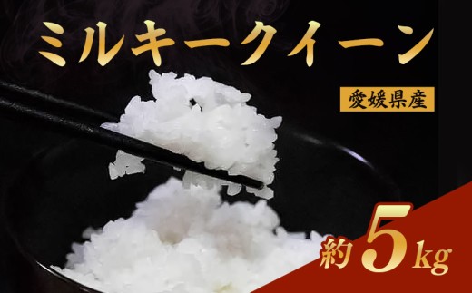 令和7年産 ミルキークイーン 約5kg | お米 愛媛県産米 白米 精米 ふるさと納税お米 こめ ご飯 ご飯のおとも ご飯 おにぎり 弁当 おこめ ごはん 飯 愛媛県 松山市