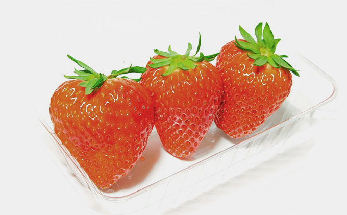 いちご 紅ほっぺ 4パック 丸亀産 フルーツ 果物 デザート おやつ 旬 産地直送 旬の果物 旬のフルーツ お取り寄せ 取り寄せ 送料無料 冷蔵 冷蔵配送 イチゴ 苺 香川 香川県 丸亀市 11月下旬