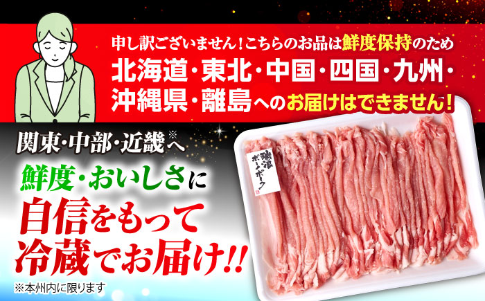 ※冷蔵配送/地域限定※ 岐阜県産 豚 瑞浪ボーノポーク しゃぶしゃぶ 1kg まんぷくセット 瑞浪市 / きなぁた瑞浪 [AZCI019]