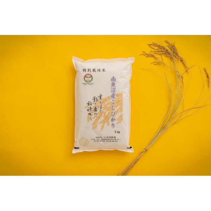 【ふるさと納税】【令和7年産】 米 コシヒカリ 南魚沼産 5kg 特別栽培米 特A地区 | お米 こめ 白米 コシヒカリ 食品 人気 おすすめ 送料無料 魚沼 南魚沼 南魚沼市 新潟県産 新潟県 精米 産直 産地直送 お取り寄せ