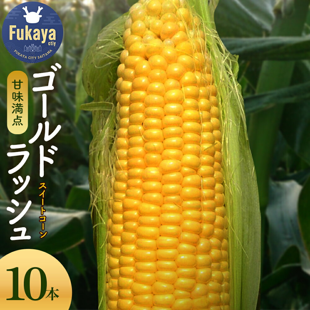 【ふるさと納税】＜先行予約＞【6・7月出荷】農家直送！とうもろこし（ゴールドラッシュ）箱詰め　【11218-0293】 スイートコーン トウモロコシ ゴールドラッシュ 朝採れ 甘い 高糖度 夏野菜 野菜 ギフト お中元 コーン 六次産業協同組合 農業王国ふかや 深谷 深谷市