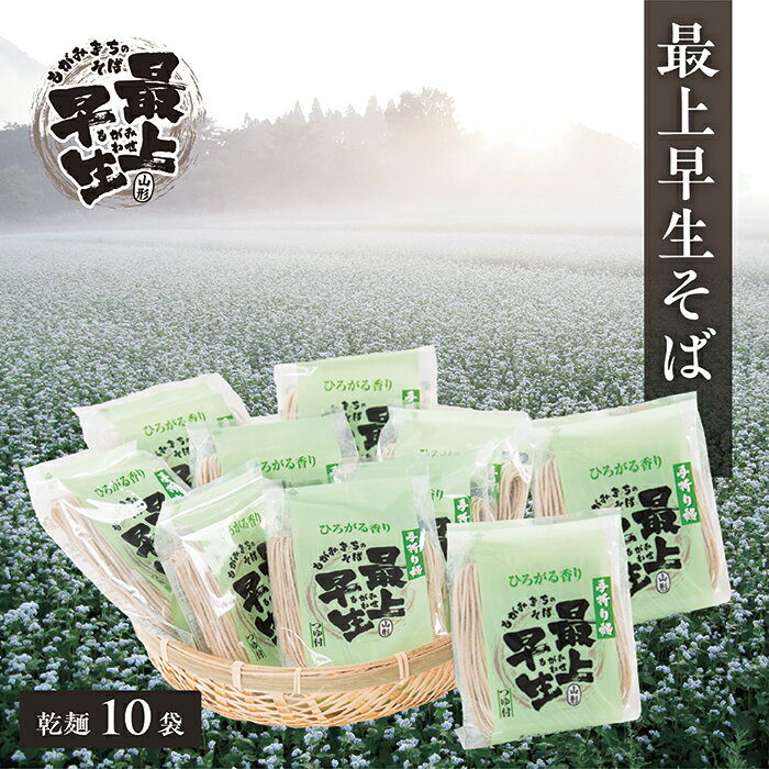 【ふるさと納税】最上早生そば乾麺10袋セット