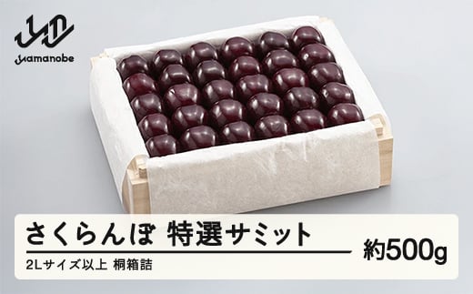 
            《先行予約》2025年 山形県産 特選サミット 桐箱詰め 約500g やまのべ多田耕太郎のさくらんぼ サクランボ F20A-788
          