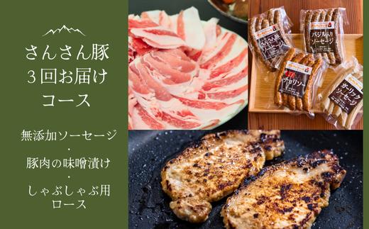 SF06　さんさん豚3回お届けコース ／（翌月より3ヶ月）// 長野県産豚肉 南信州 ポーク ステーキ バークシャー種 薄切り 味噌漬け 安全 安心 定期便 毎月届く 贈答 ギフト