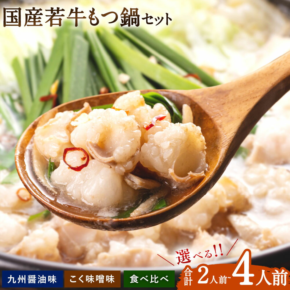 【ふるさと納税】＜選べる 種類 容量＞博多菊ひら 厳選 国産若牛もつ鍋 九州醤油味 こく味噌味 食べ比べ 2人前～合計4人前 国産 ちゃんぽん麺 もつ鍋 ホルモン鍋 ちゃんぽん麺 鍋セット もつなべ 福岡 グルメ お取り寄せ 冷凍 送料無料