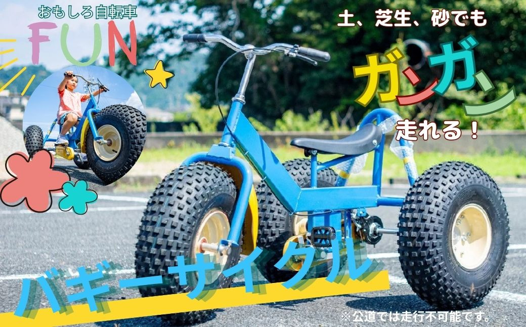 
おもしろ自転車 バギーサイクル 【自転車 サイクリング タイヤ 伊豆 静岡】90-002
