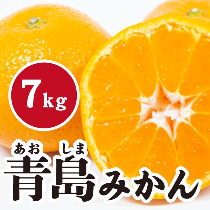 【ふるさと納税】 みかん【先行受付】【2027年1月末以降発送】 濃厚な甘さが特徴！青島みかん ＜約7kg＞ 広島 三原 佐木島 鷺島みかんじま 017055