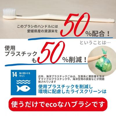 ふるさと納税 伊予市 お米歯ブラシ　ライスクリーンふつう　6本(3色×2本)　山陽物産　大阪万博展示品　B439 |  | 03