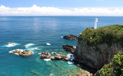 【9/30掲載終了・再販なし】おもてなしタクシーチケット④「足摺岬めぐりコース」5時間 高知県 西部 観光 旅行 四万十・足摺エリア トラベル 四国 【R00727】
