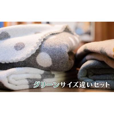 ふるさと納税 飯能市 マルナカ ヴィルッティ Medium&amp;Large2枚組 グリーン[52210788]