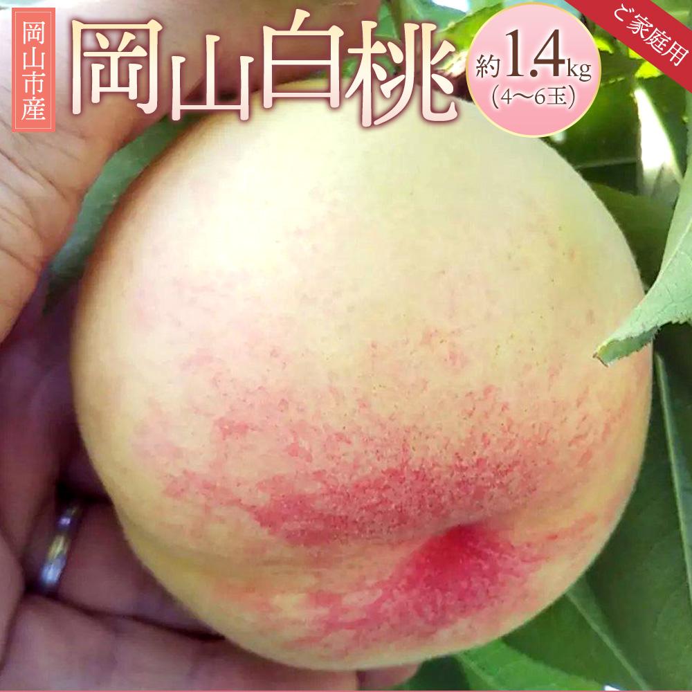 【ふるさと納税】桃 2026年 ご家庭用 岡山 白桃 約1.4kg（4～6玉） もも モモ 岡山県 岡山市産 国産 フルーツ 果物 | モモ momo 白桃 家庭用 詰め合わせ おかやま 岡山県 岡山市 フルーツ お取り寄せ 国産 送料無料 おすすめ 人気