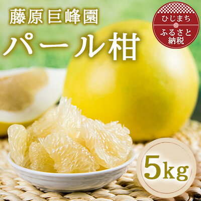 【ふるさと納税】大分県日出町産　パール柑5kg【1726374】