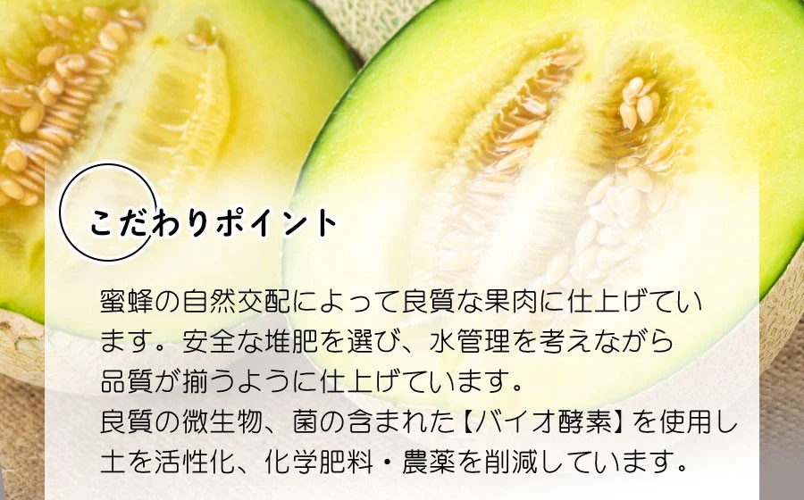 【令和8年産先行予約】 アンデスメロン 約5kg(3～5玉) 山形県鶴岡産 庄内砂丘メロン　白砂ファーム
