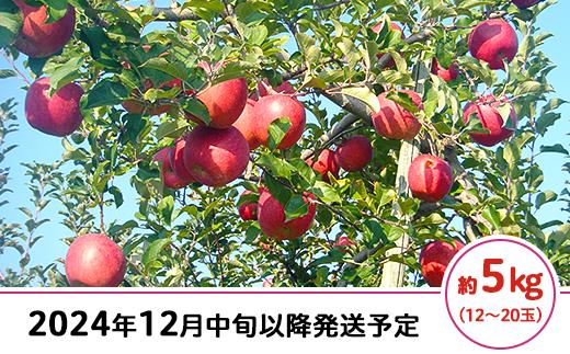 
J0526長野市産サンふじ（家庭用）5kg【2024年12月中旬以降発送予定】（矢島農園）
