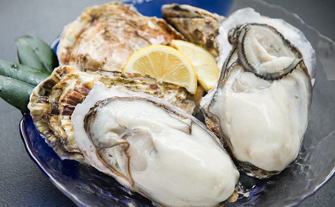 牡蠣 2026年先行予約 モリ旬 牡蠣 殻付き 約3kg 岡山県 瀬戸内市 虫明産 魚貝類 生牡蠣 かき 魚介類 カキ 