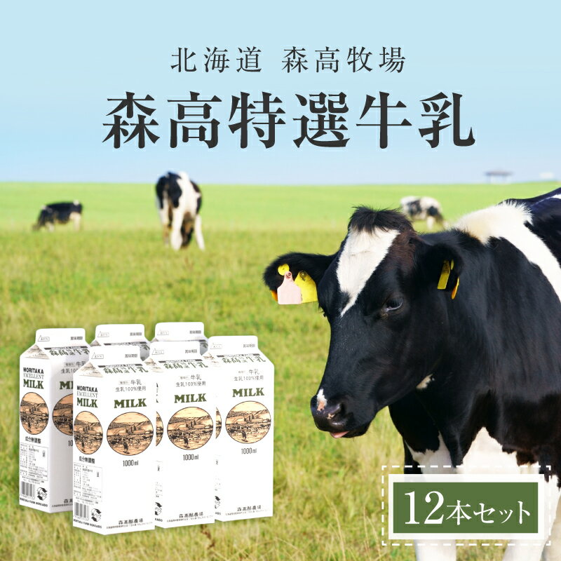 【ふるさと納税】森高特選 牛乳 12本セット (1本あたり1L×12本,合計12L) 北海道 乳 ミルク