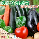 【ふるさと納税】＼選べる配送回数／ 旬の野菜 詰め合わせ 10種程度 しみず農園 農家直送 野菜 植物堆肥 栽培期間中化学肥料不使用 栽培期間中農薬不使用 季節の野菜 旬の野菜 採れたて 酒々井 野菜セット 野菜詰め合わせ 宅配