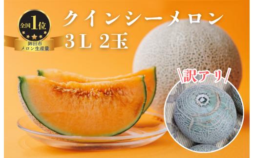 【訳あり】クインシーメロン（3L×2玉）