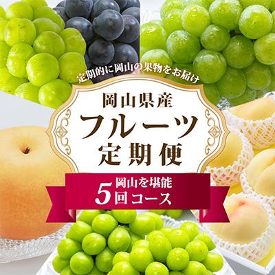 ふるさと納税 里庄町 【発送月固定定期便】岡山県産 フルーツ定期便B全5回