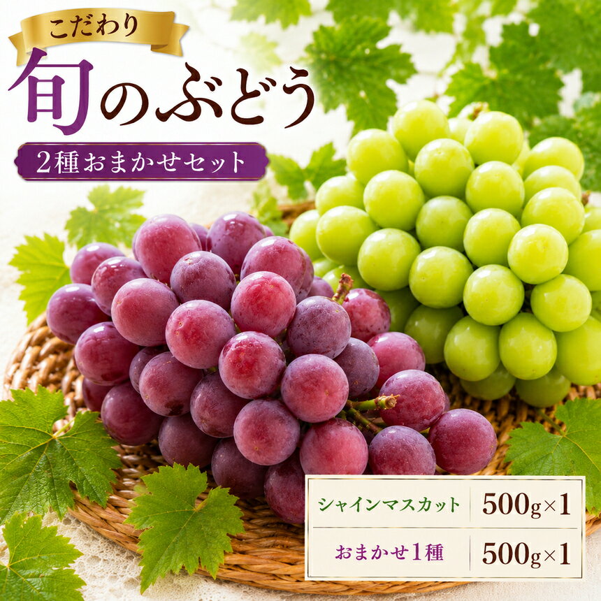 【ふるさと納税】美浜町産 こだわり旬のぶどう 2種おまかせセット | シャインマスカット ピオーネ グロスクローネ タカスミ クイーンニーナ 500g×2 | ぶどう 果物 くだもの フルーツ ふるーつ 濃厚 季節限定 先行予約 旬 人気 おすすめ 愛知県 美浜町