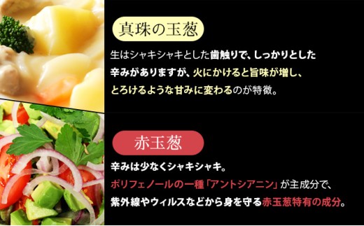 真珠の玉葱 特別栽培 L～L大サイズ 5kg (ルージュ5玉入り) ＜海のミネラルで育てた特別栽培玉葱＞｜玉ねぎ たまねぎ タマネギ 北海道産 岩見沢市【a134-008】【50108】 5kg+ルー