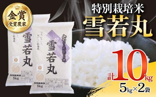 【2025年産 先行予約】 特別栽培米 雪若丸 5kg×2袋 F2Y-4393