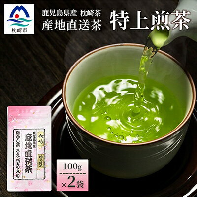 【ふるさと納税】一番茶のみ使用!!【 特上煎茶 】 ( 100g×2本 ) 枕崎産 大河内製茶 A3-218【1167083】