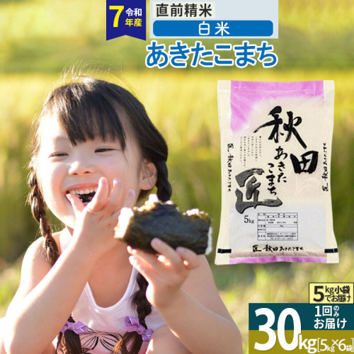 【白米】＜令和7年産＞ 秋田県産 あきたこまち 30kg (5kg×6袋) 30キロ お米 匠 精米30kg [サンファーム西木]