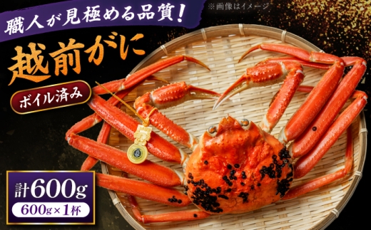 【先行予約/11月18日より順次配送】越前がに 600g×1杯 茹で 福井県産ズワイガニ / かに カニ 蟹 越前ガニ ズワイガニ ボイル / 小浜市 / 一進わかさ【配送不可地域：北海道・沖縄・離島】 [BFES001]