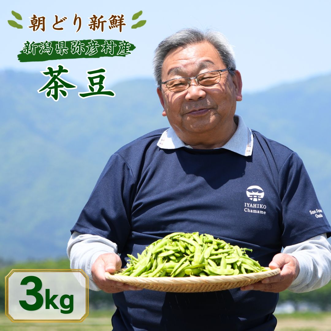 【先行予約】 朝どり新鮮 新潟 枝豆 えだまめ 茶豆 3kg | 特産品 野菜 おつまみ 晩酌 濃厚な甘さ お取り寄せ おすすめ プレゼント ギフト 贈答 贈り物 1キロ 新潟県 弥彦村 農事組合法人 サンファーム大戸