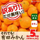 【ふるさと納税】訳あり それでも 有田みかん 箱込 5kg (内容量約 4.4kg) サイズミックス B品 有田みかん 和歌山県産 産地直送 家庭用【みかんの会】 | フルーツ 果物 くだもの 食品 人気 おすすめ 送料無料