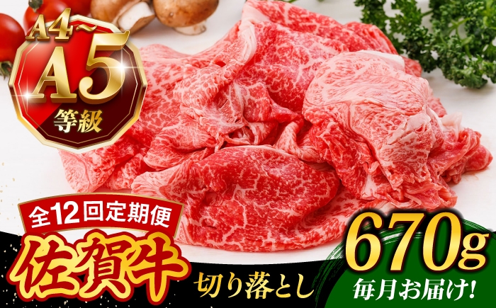 
                  【12回定期便】A4 A5等級 佐賀牛 切り落とし 670g /焼肉どすこい [UCC028]
                