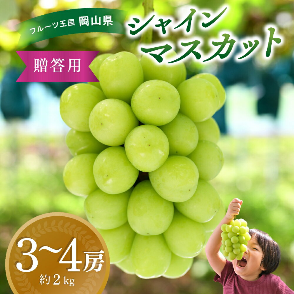 【ふるさと納税】ぶどう 岡山 花笑み農園 『シャインマスカット』約2kg(3〜4房) S-2 hana16-1 2025年9月下旬～受付順に発送予定 贈答用 岡山 真庭市 シャインマスカット 高級 2kg 贈答 2025 大粒 葡萄 ぶどう 果物 フルーツ 人気 数量限定 【1491570】