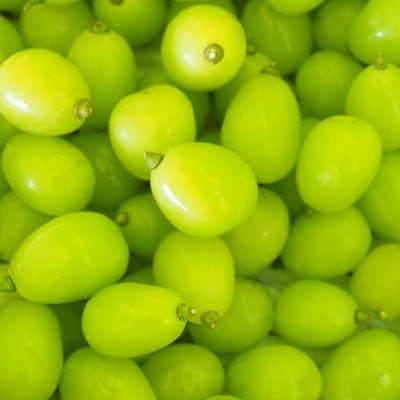 シャインマスカット 粒 約1.2kg 【訳あり】ご家庭用 ぶどう 切り落とし【配送不可地域：離島・沖縄県】