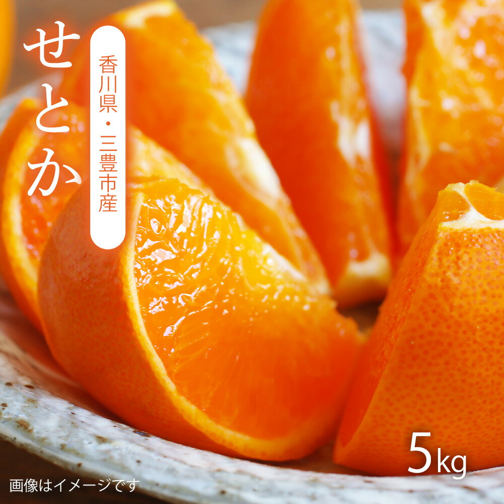 【ふるさと納税】【配送不可地域：北海道・沖縄県・離島】せとか　三豊市産　約5kg 秋 旬