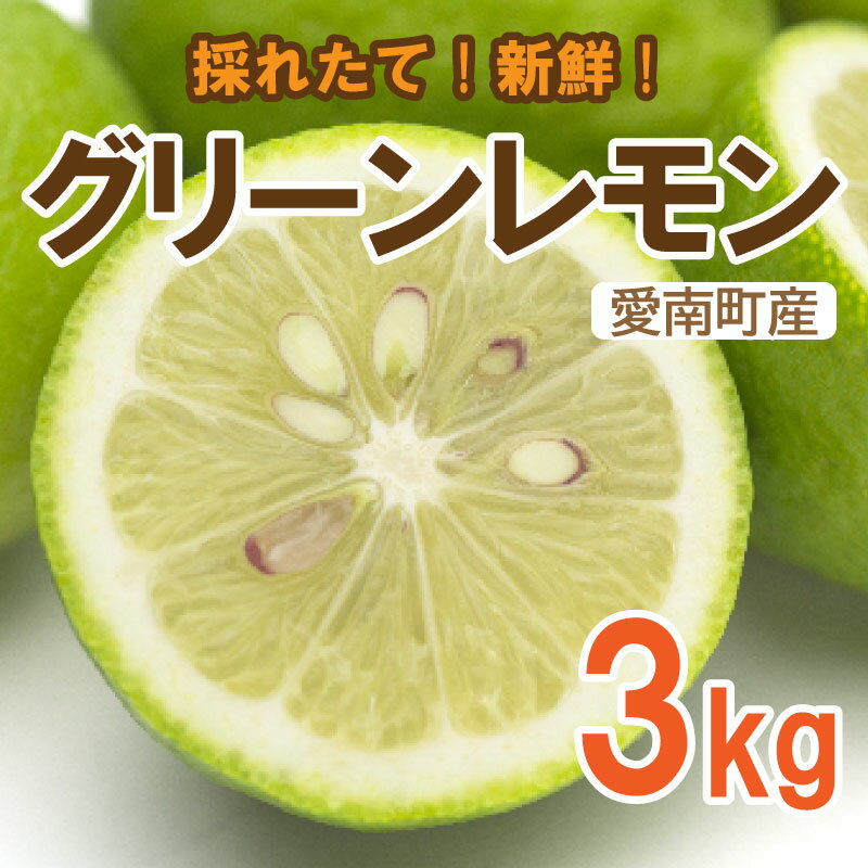 【ふるさと納税】 レモン ( グリーンレモン ) 3kg 10000円 れもん 檸檬 フルーツ 果物 くだもの 柑橘 贈答 ギフト 防腐剤 不使用 レモンサワー レモン果汁 炭酸水 ビタミンC クエン酸 疲労 回復 ストレス 解消 免疫力 向上 国産 皮ごと みかん ひなたのみかん 愛媛県 愛南町